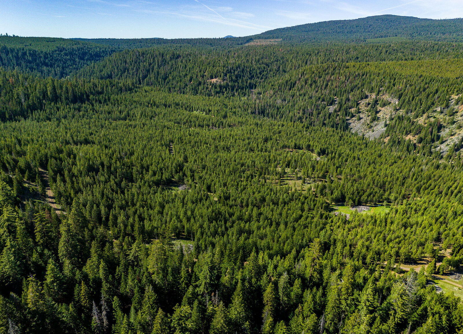 Property Photo:  Jenny Cr Road  OR 97520 