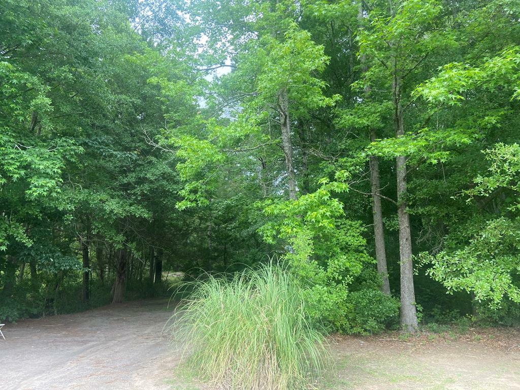 Property Photo:  Stroman Rd.  SC 29080 