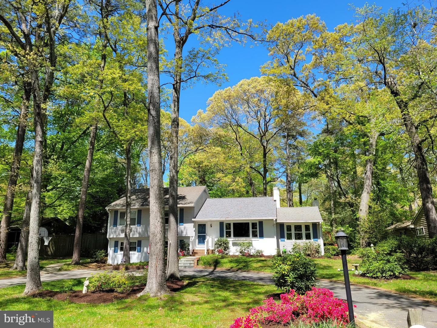 Property Photo:  609 Twin Tree Road  MD 21801 