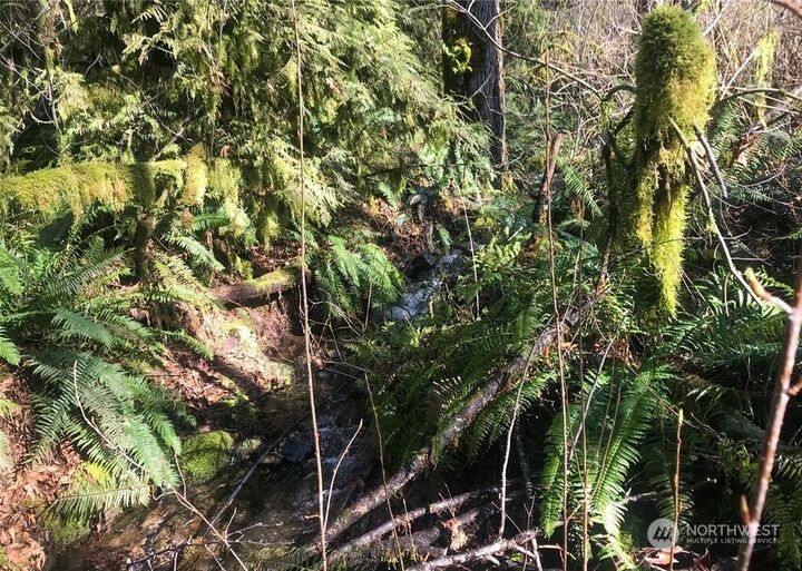 Property Photo: 0 Butts Road WA 98356