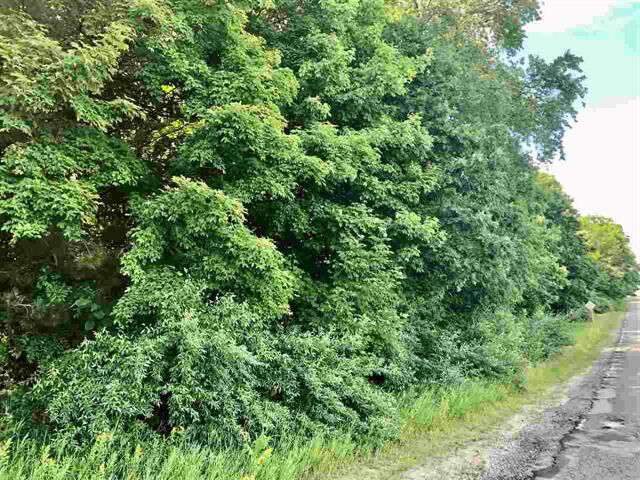 Property Photo: Lot 110 Shanty Creek MI 49615