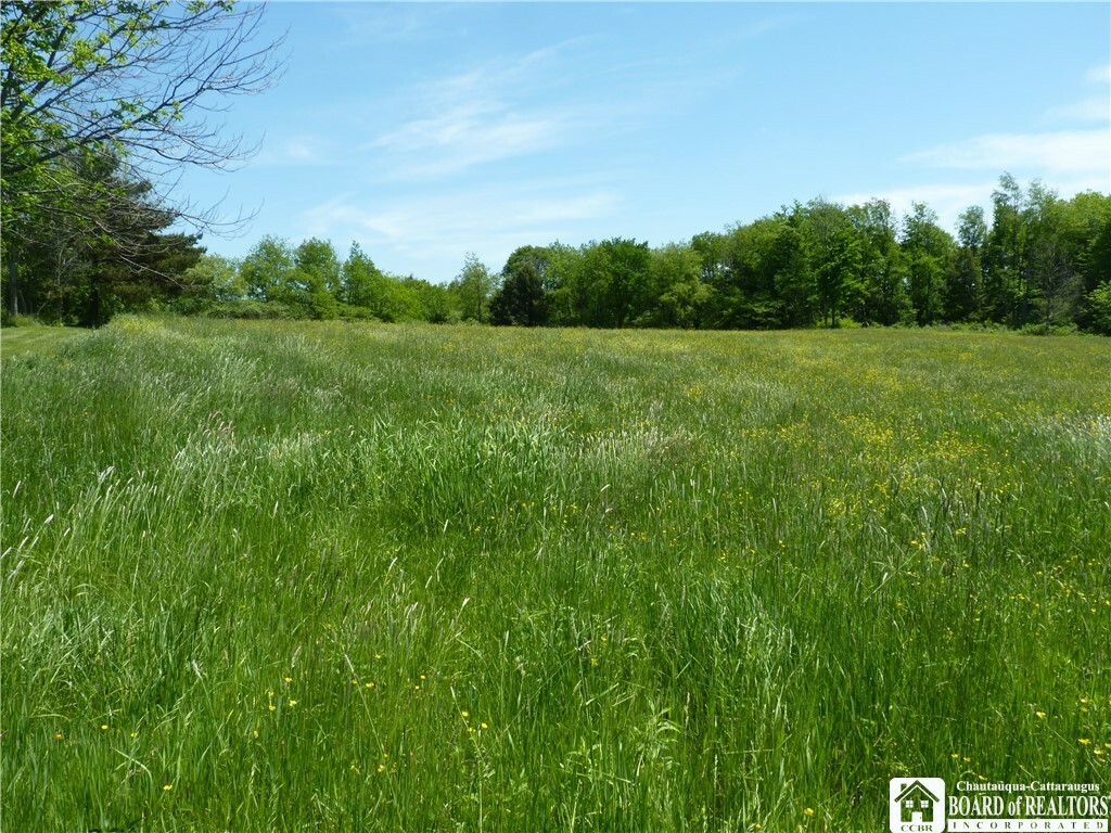Property Photo: 0 Prospect Street NY 14781