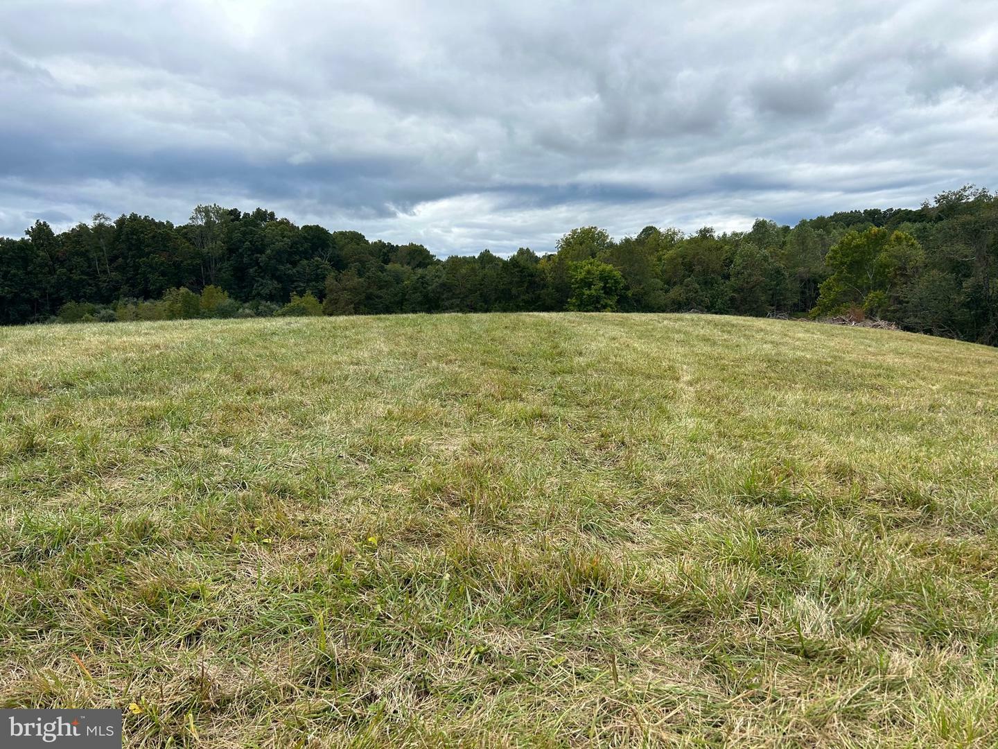 Property Photo:  Lot 1B-1 Moses Place  VA 22701 