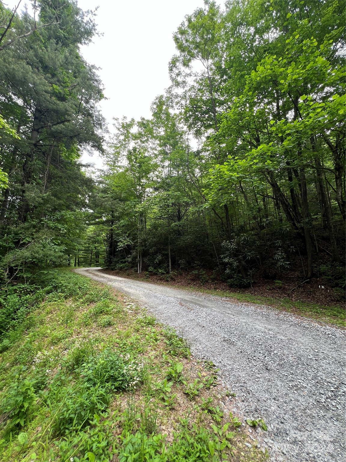 Property Photo:  99999 Lakeview Drive 413  NC 28782 