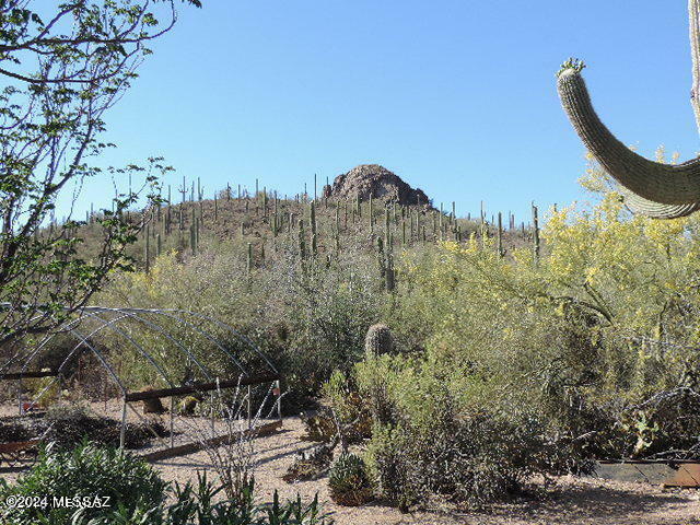 Property Photo:  10000 W Picture Rocks Road  AZ 85743 