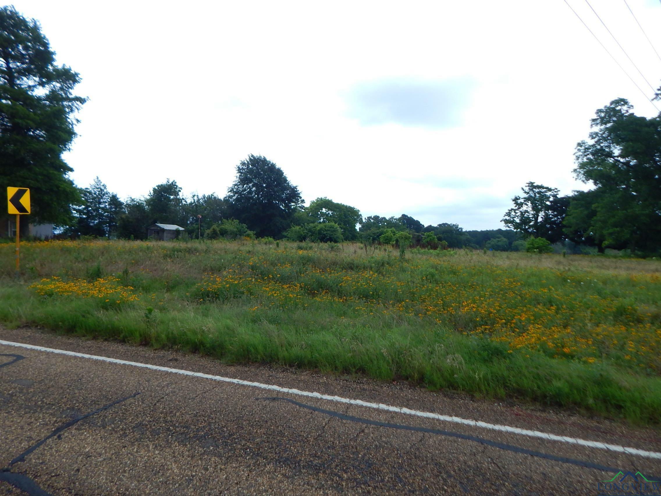 Property Photo:  Tbd 1 Acre Fm 1404  TX 75755 