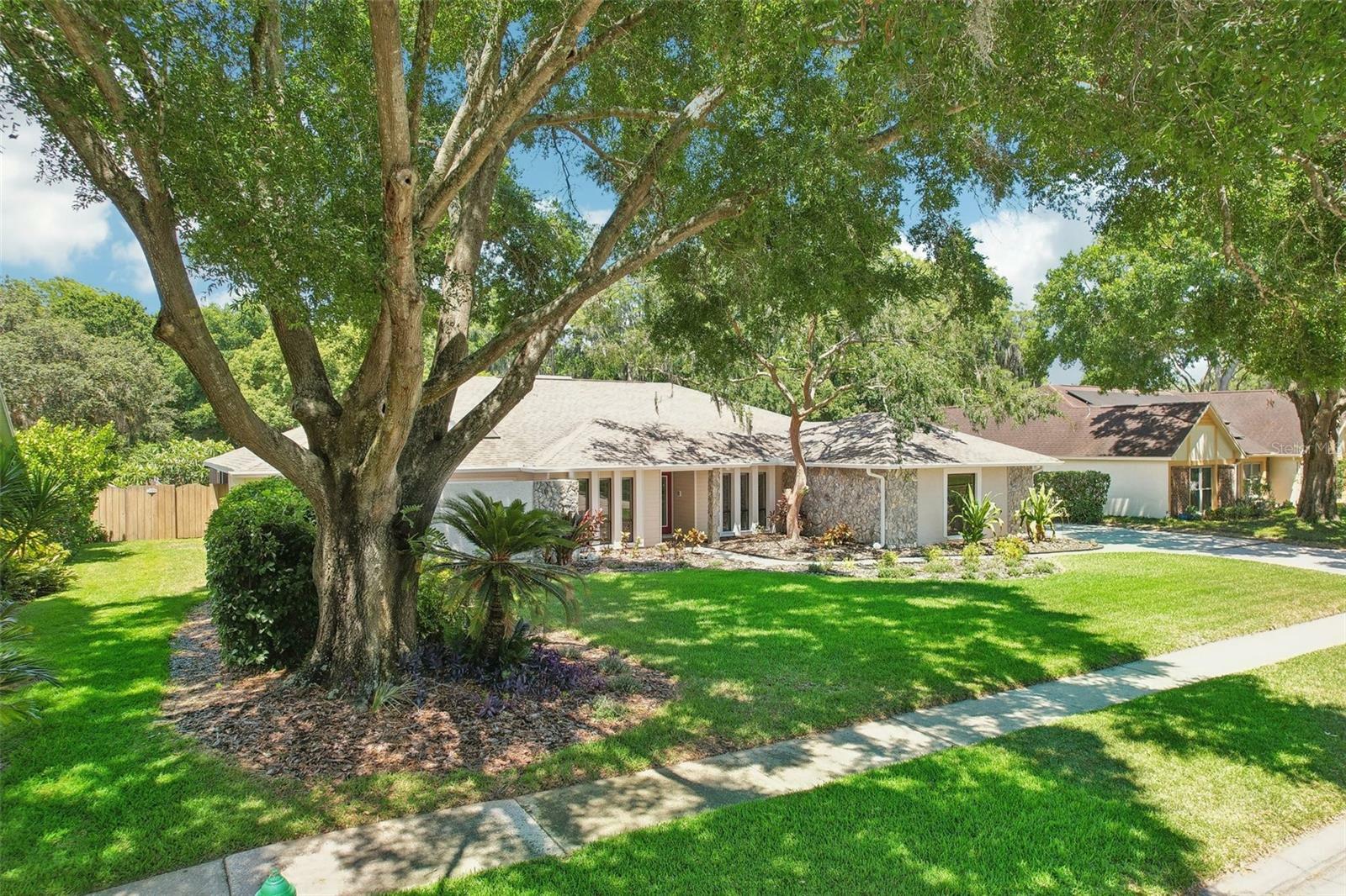 Property Photo:  603 Crystal Grove Boulevard  FL 33548 