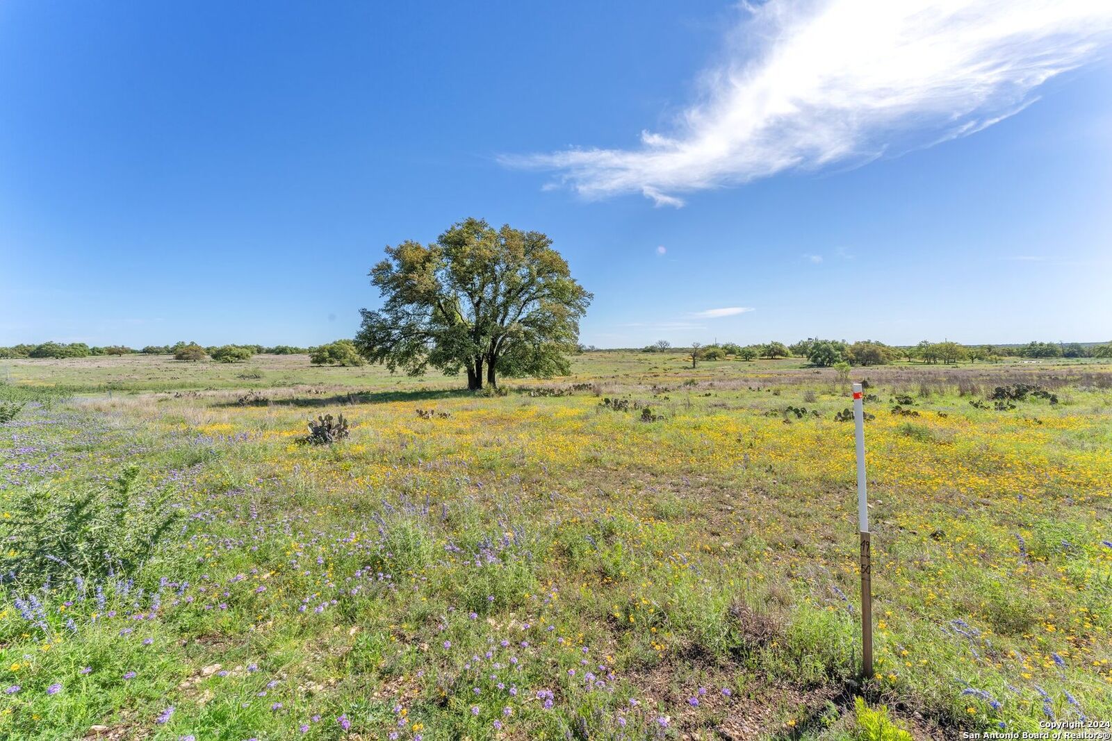 Photo de la propriété:  167 NW Nantan Ln  TX 78631 