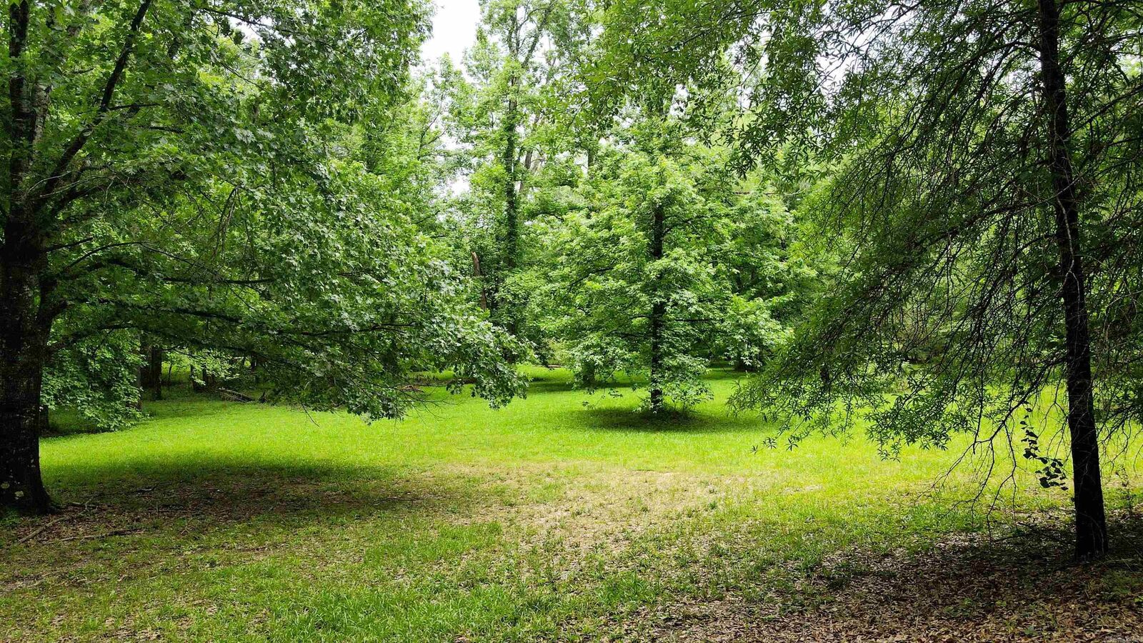 Property Photo: 107 Boulder Road AR 71968