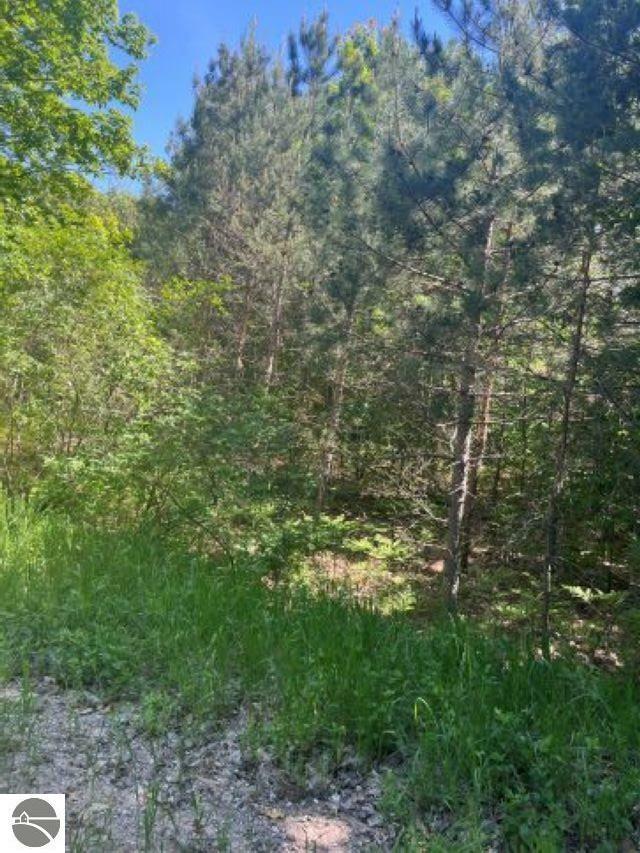 Property Photo:  Parcel B N 45 Road  MI 49663 