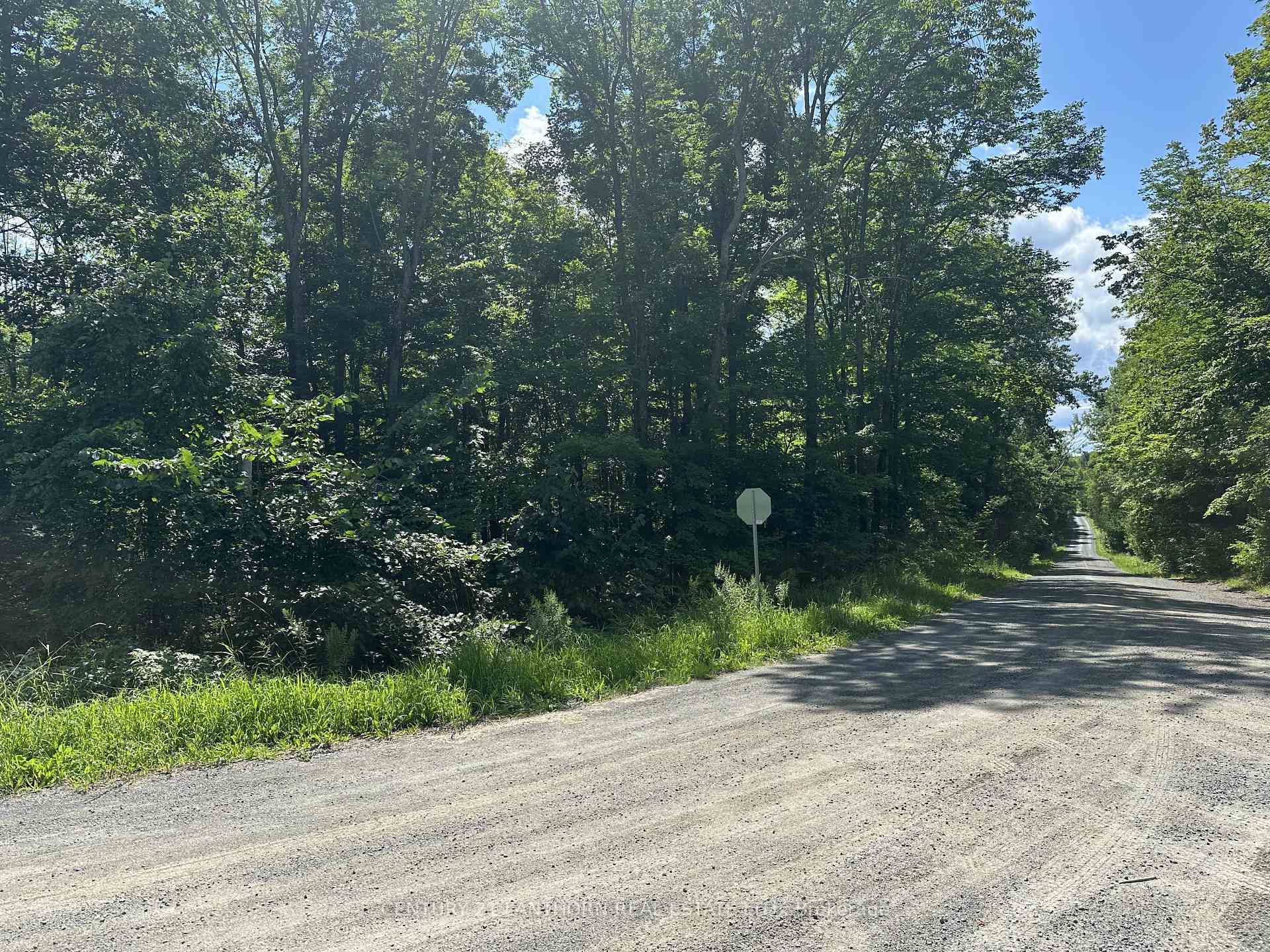 0 Scotch Settlement Road  Madoc ON K0K 2K0 photo