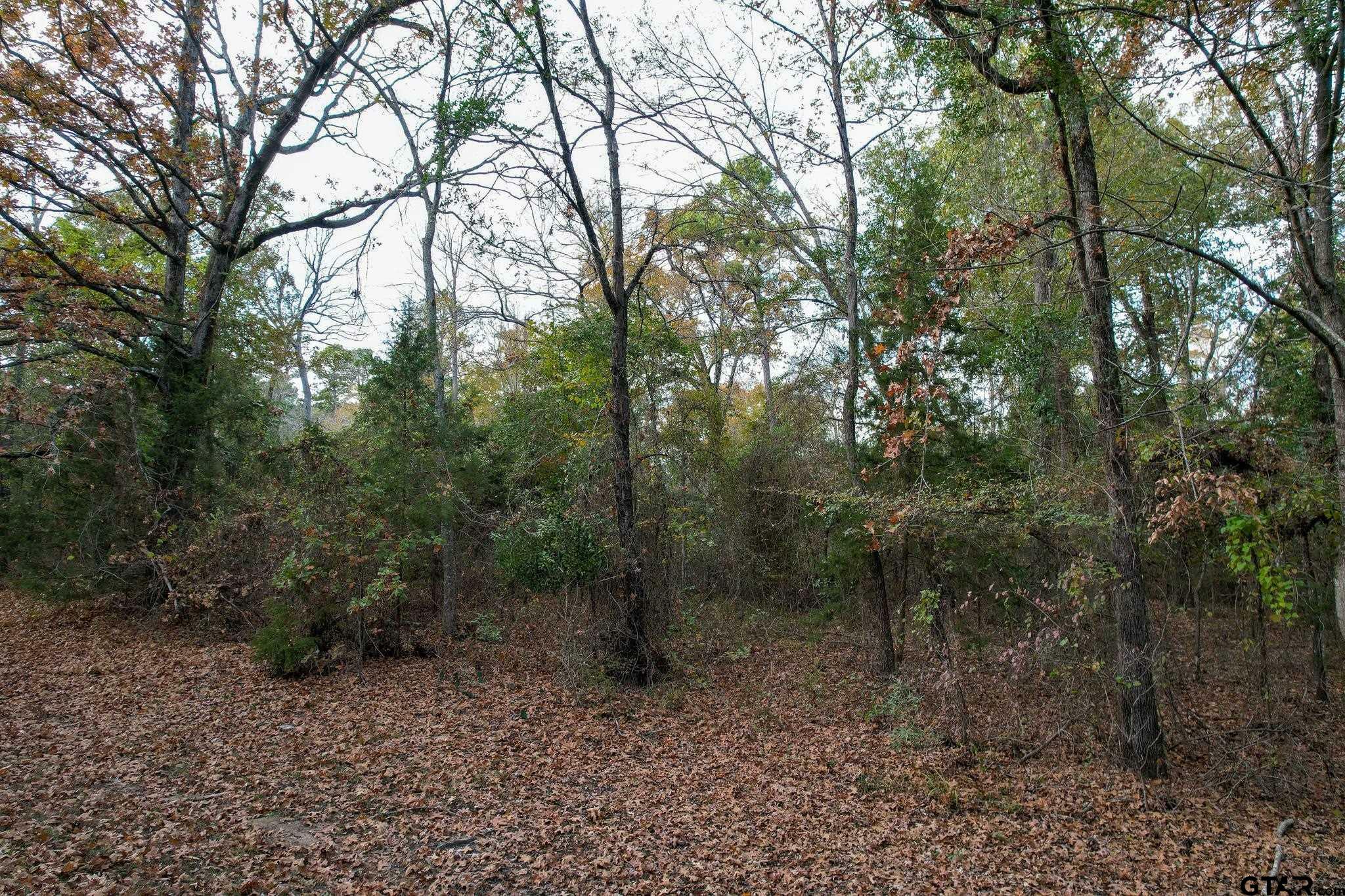 Property Photo:  Lot 607 Canadian Drive  TX 75480 