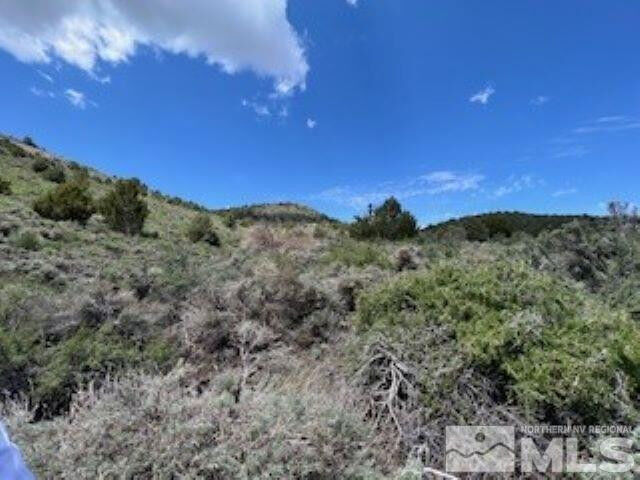 Property Photo:  4720 Lost Burro Road  NV 89521 