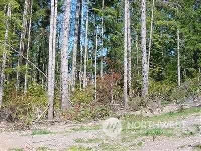 Property Photo:  12420 Osprey Drive NW  WA 98332 