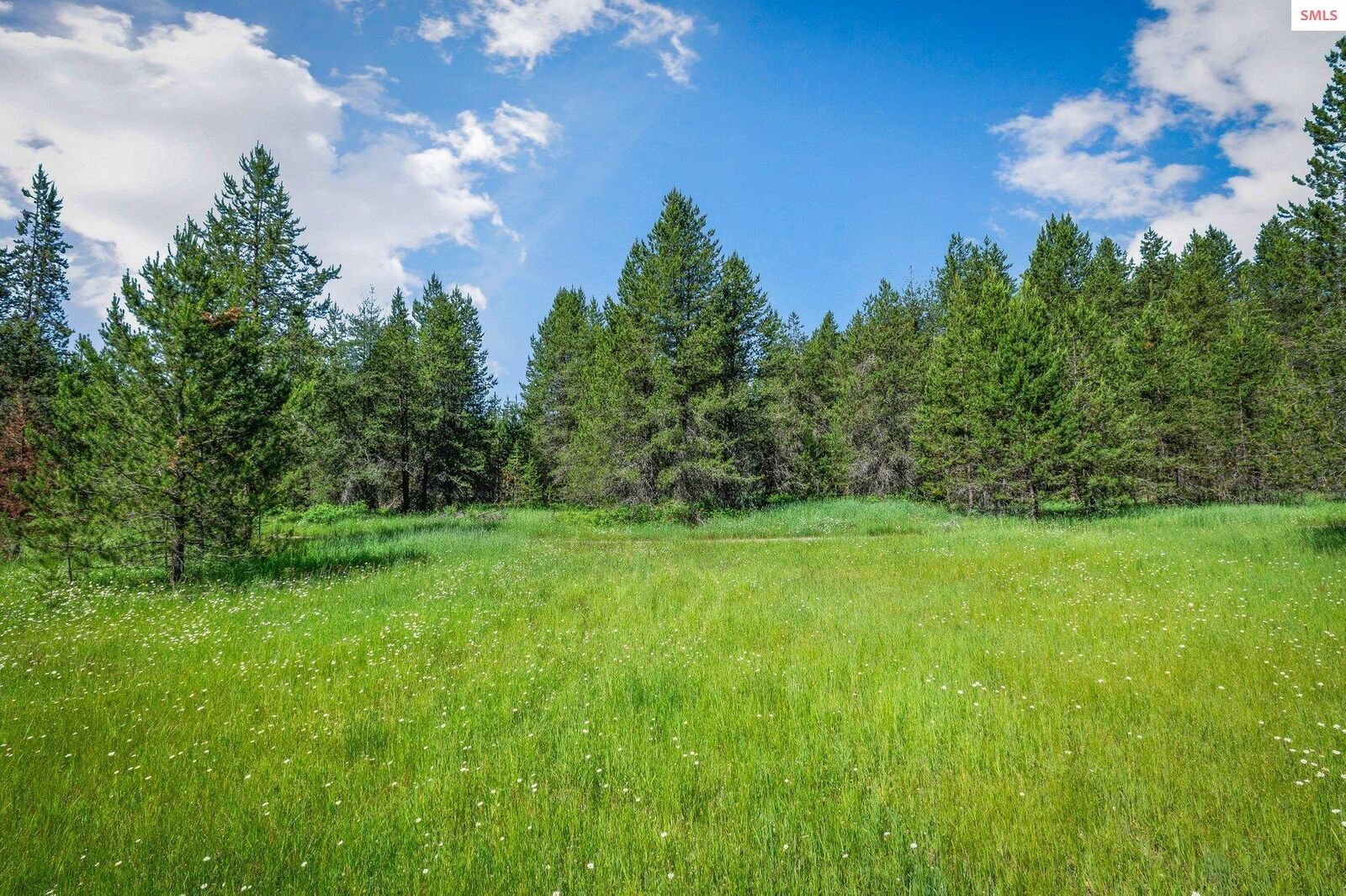 Property Photo:  Nna Dubius Creek Rd  ID 83856 