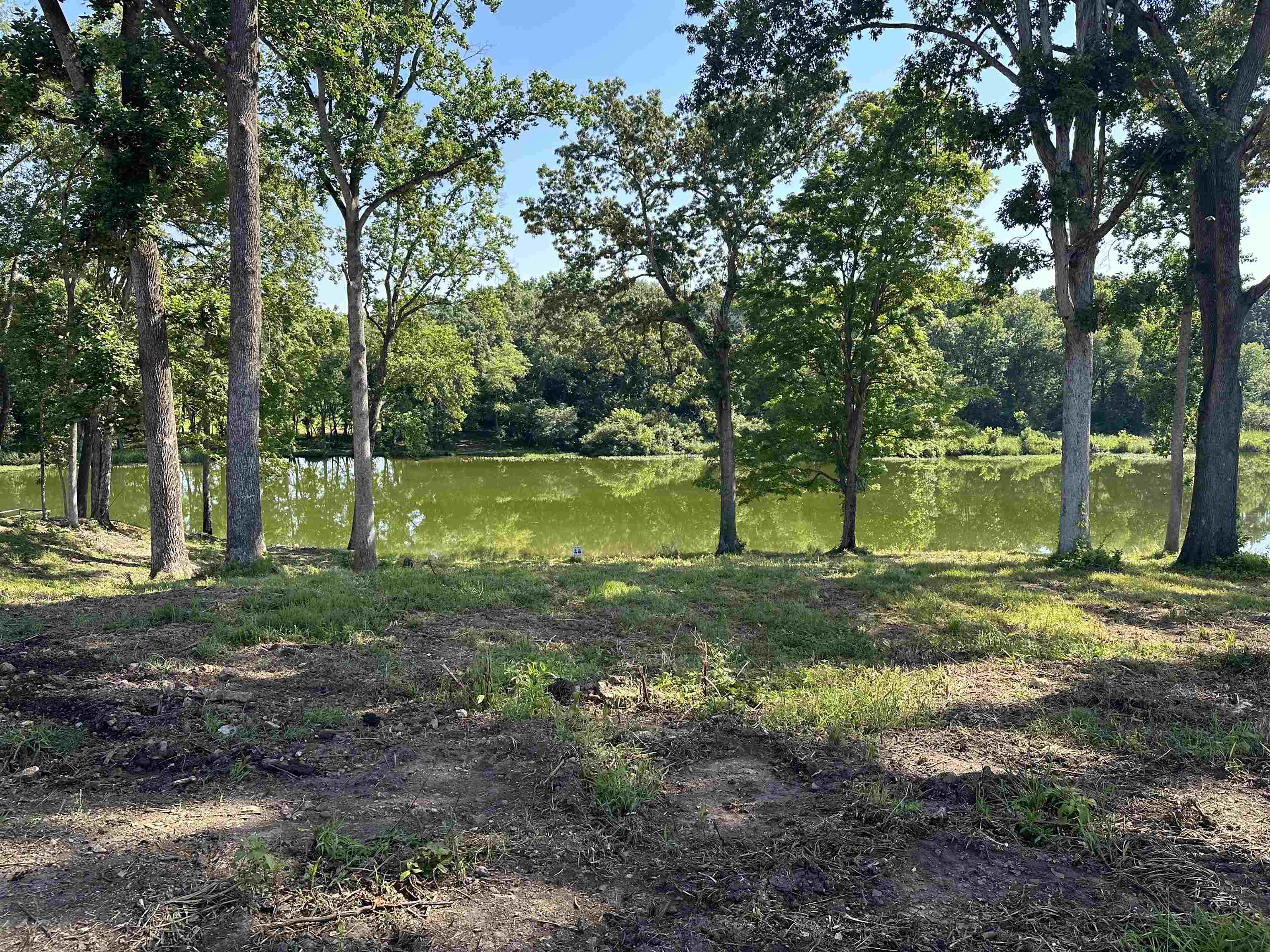 Property Photo:  205 Co Rd 414  AL 35645 - KILLEN 