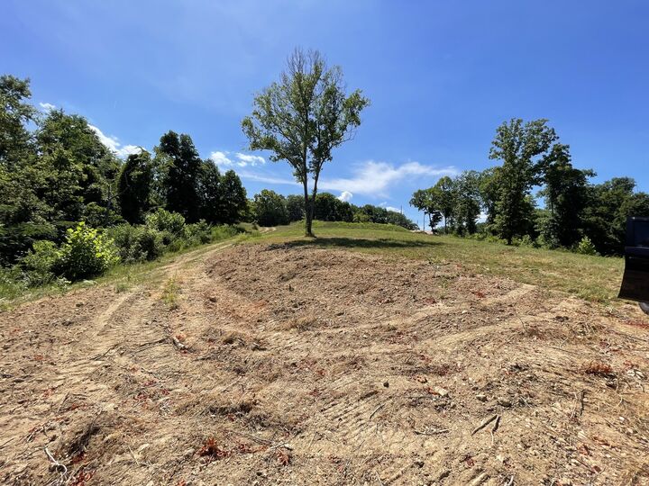 0 Bellwood Landing Rd  Indian Mound TN 37079 photo