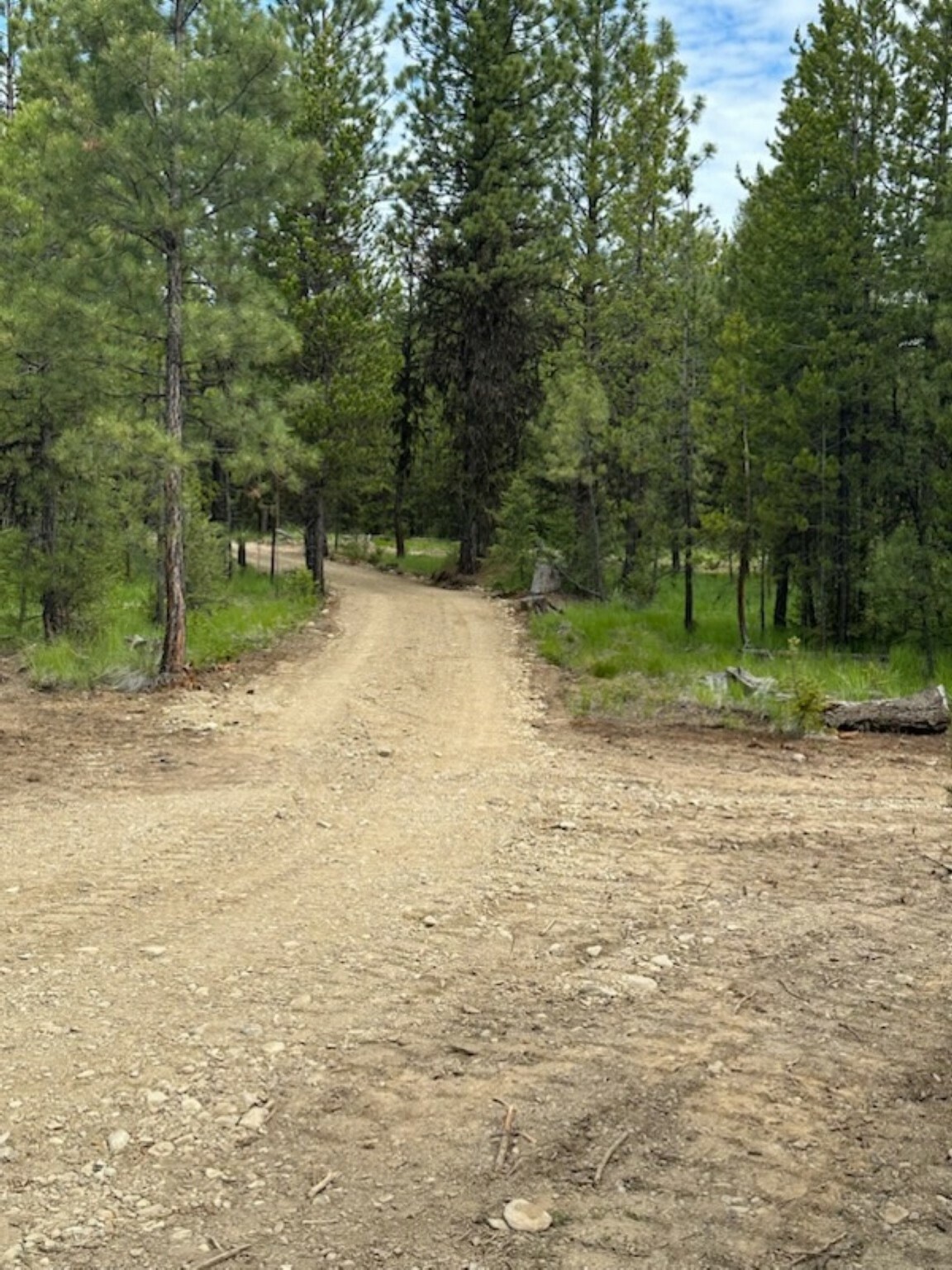 Property Photo:  Lot 14 Klabo Drive  MT 59923 