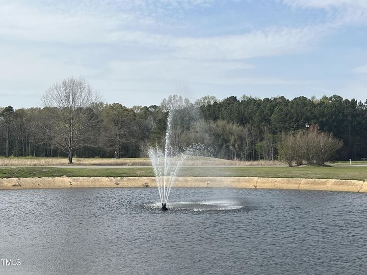 Property Photo: 242 Sanderling Road NC 28394