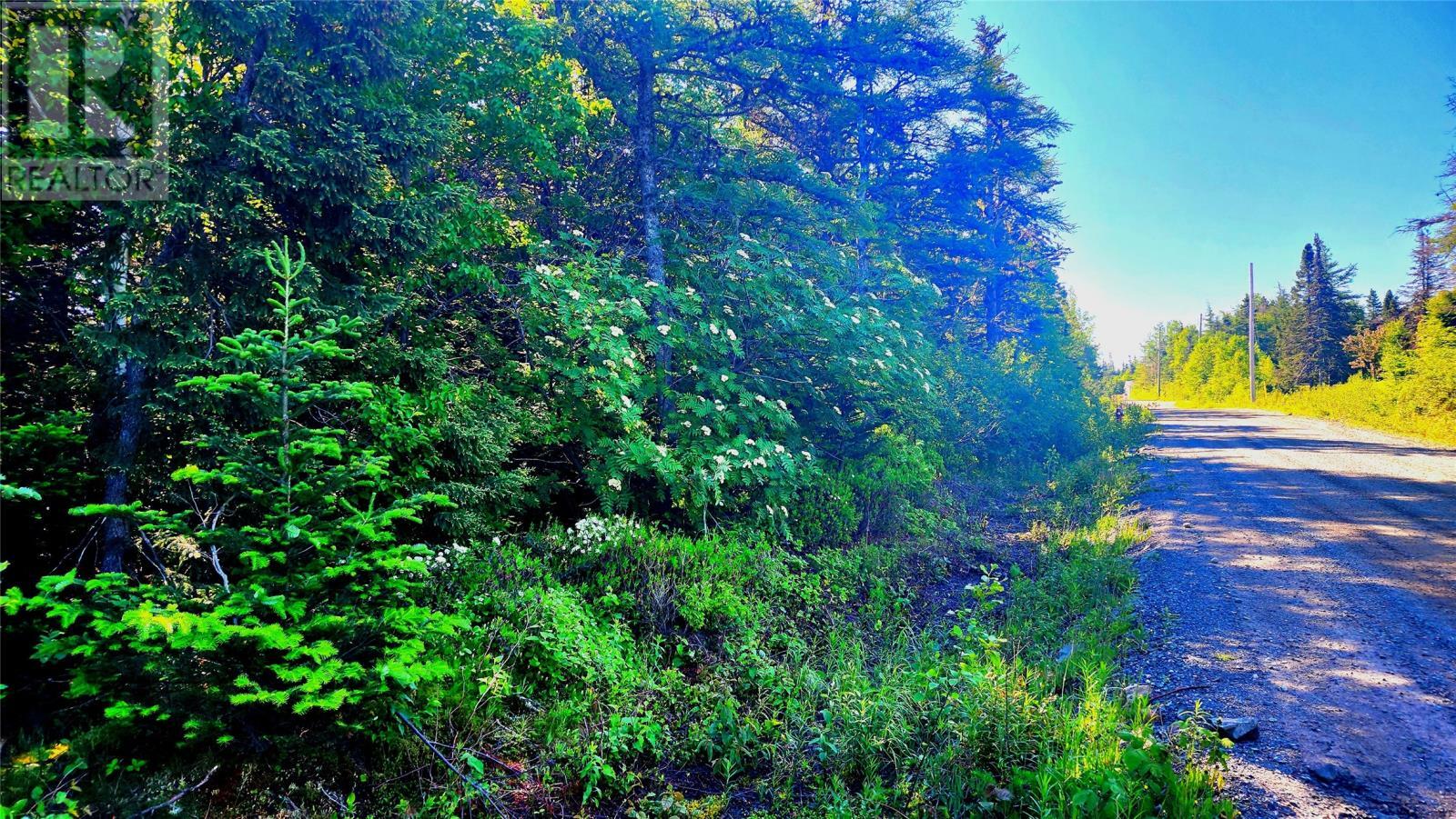 Property Photo:  11 Yetmans Lane  NL A0G 1Z0 