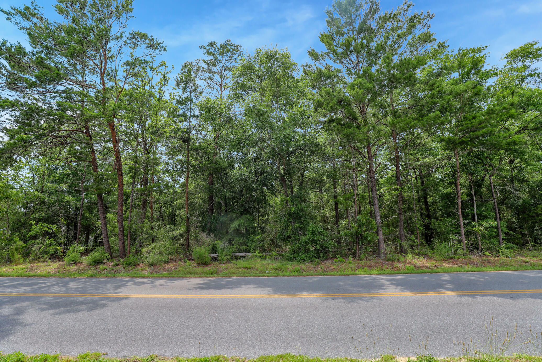 Property Photo:  Lot 12 E Howlin Road  FL 32433 