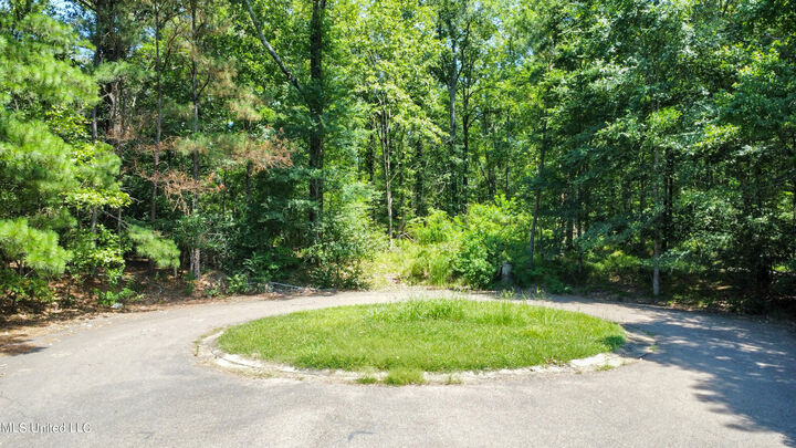 Property Photo:  0 Shady Brook Cove  MS 39272 