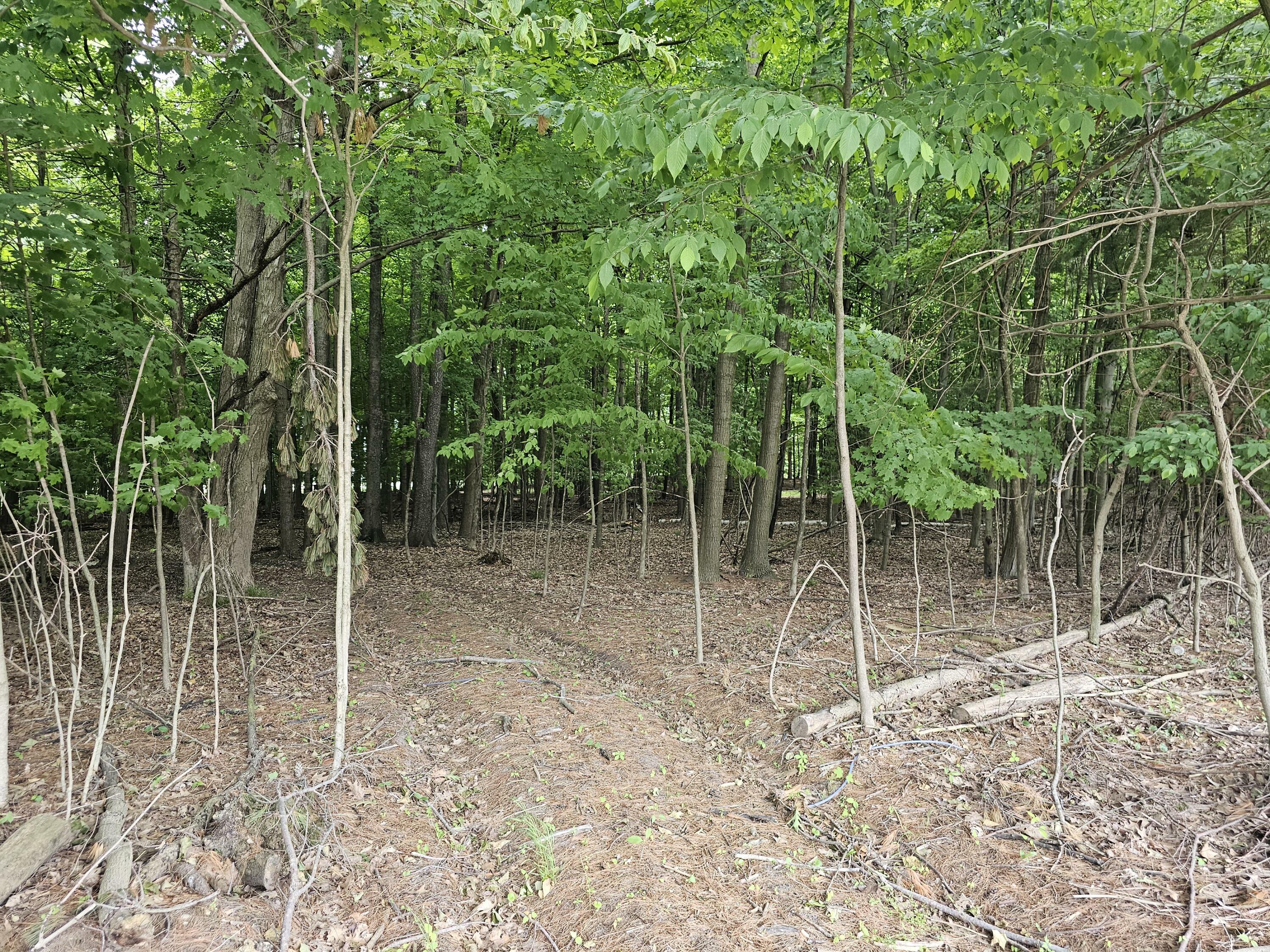 Property Photo:  Lot C Waterwheel Road  MI 48886 