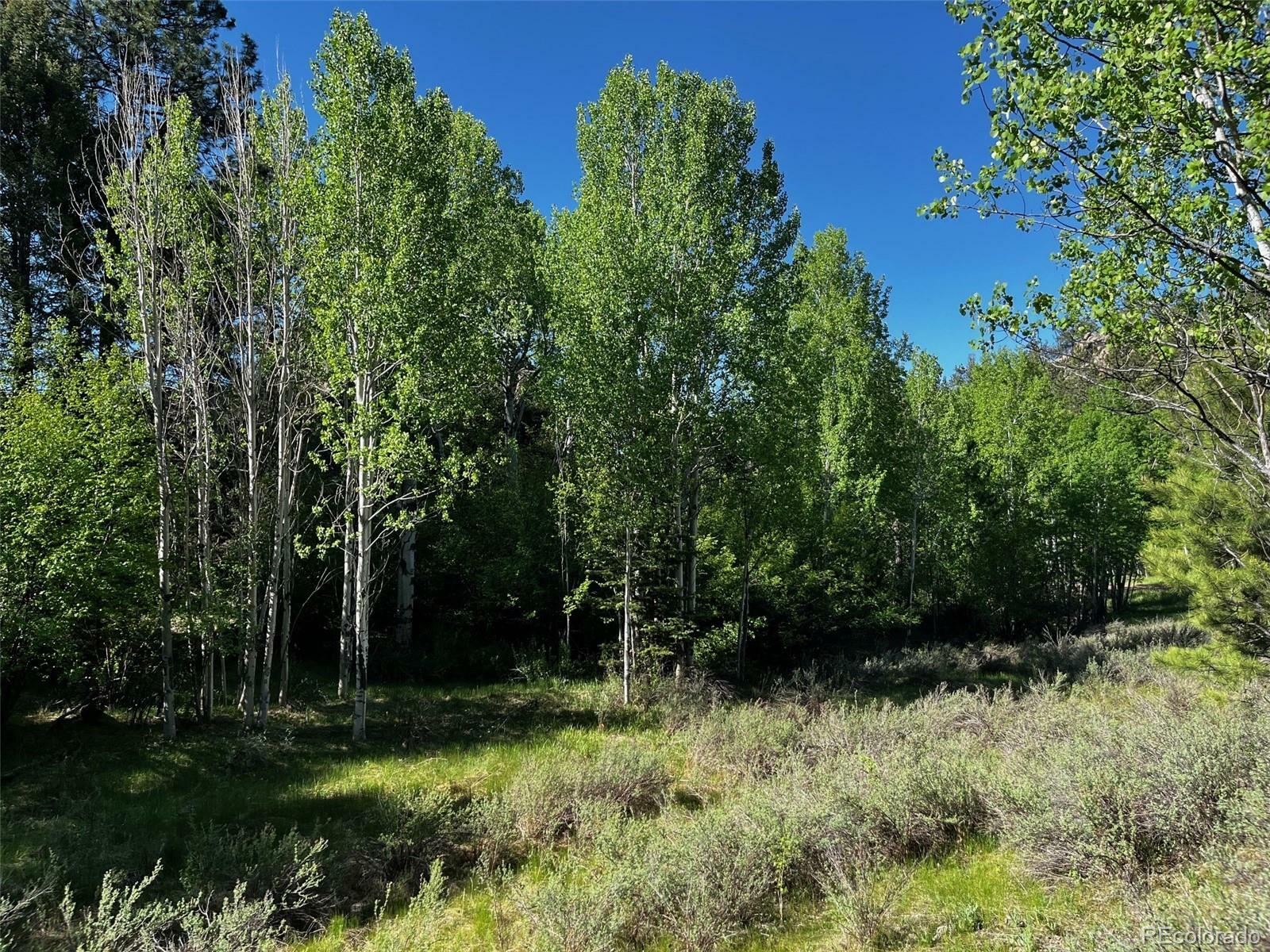 Property Photo:  77 Ponderosa Drive  CO 80820 