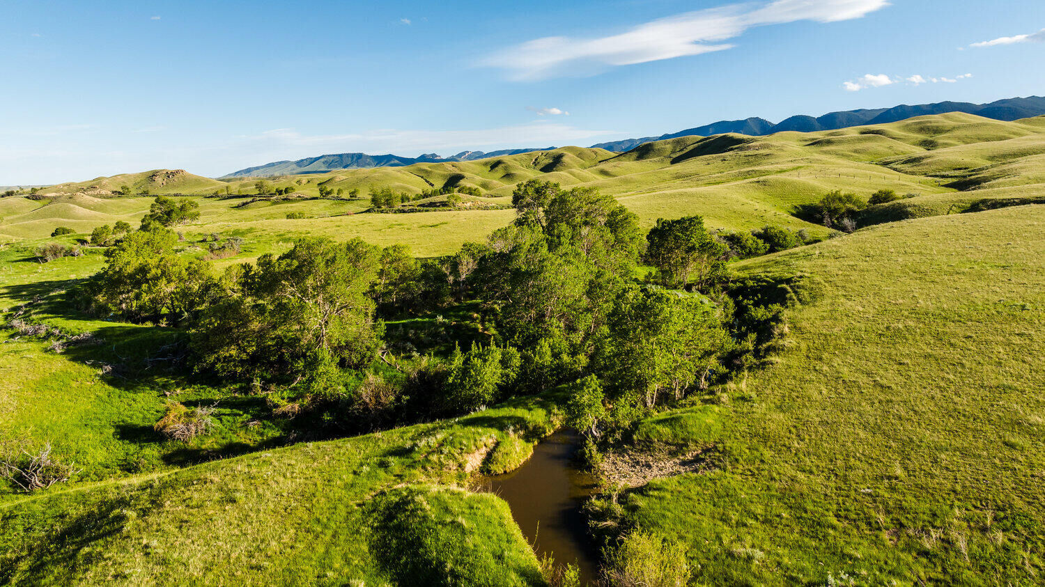 Property Photo:  192 Shell Creek Road  WY 82834 