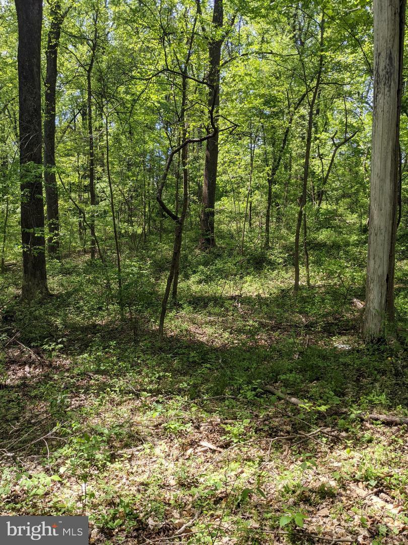 Property Photo:  0 Taylorstown Rd  VA 20176 