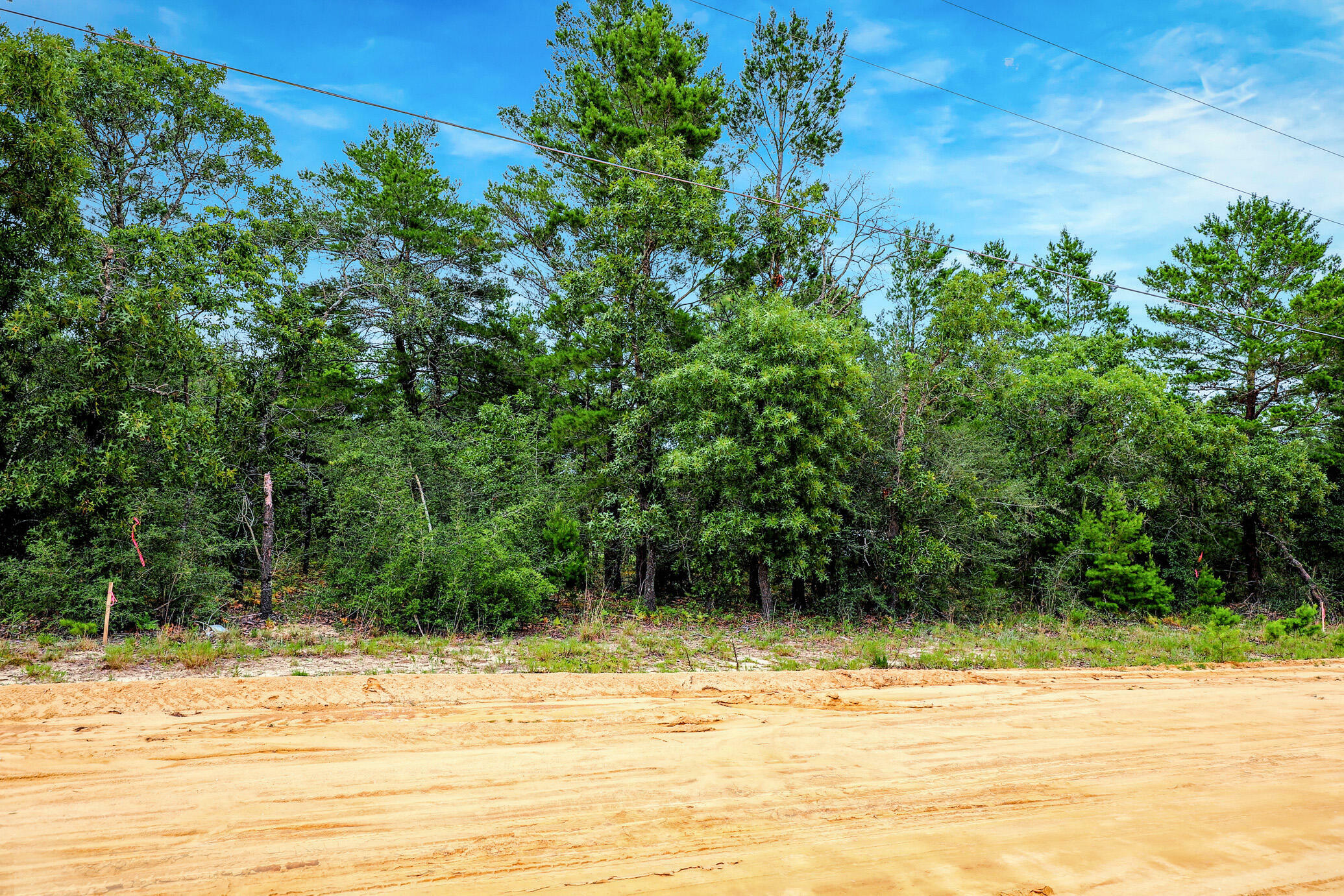 Property Photo:  Lot 4 E Honeysuckle Street  FL 32433 