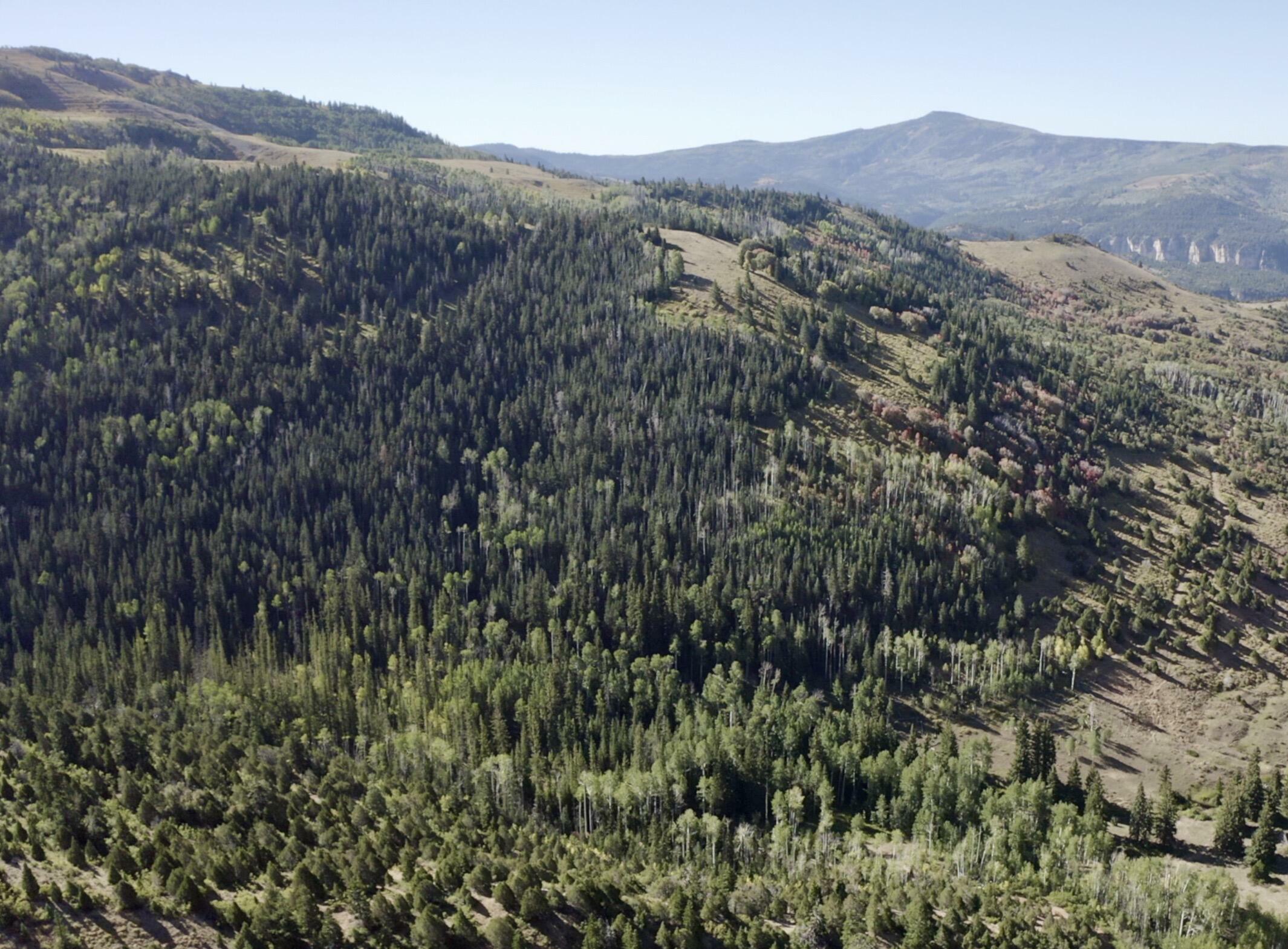 78.75 Acres  Brian Head UT 84719 photo