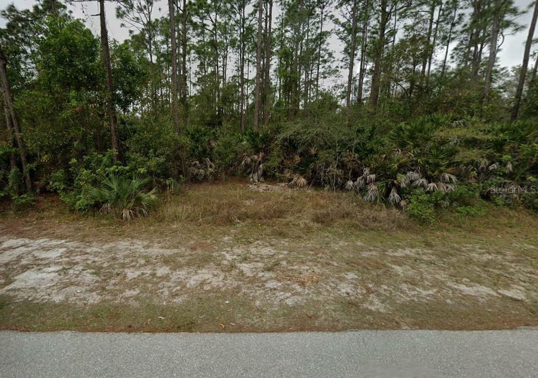 Property Photo:  28323 S Twin Lakes Drive  FL 33955 