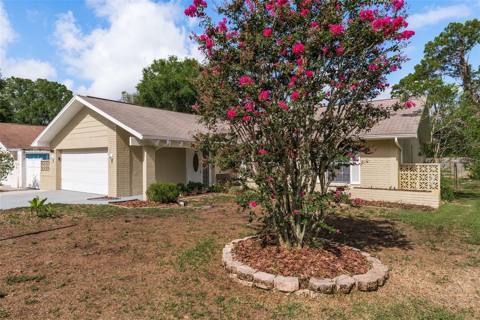 Property Photo:  3129 Jarvis Street  FL 34690 