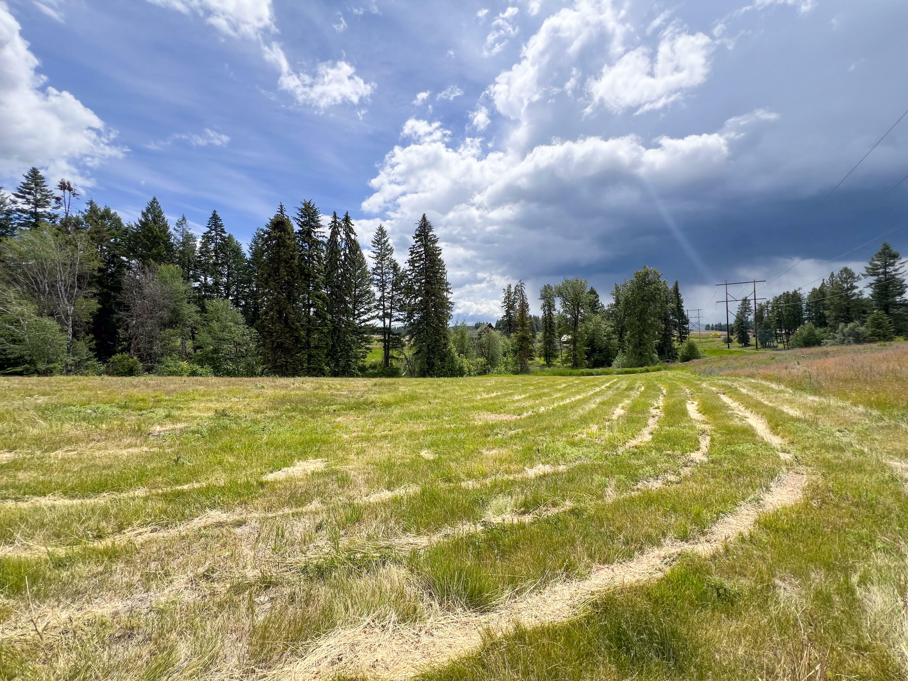 Property Photo:  2082 Whitetail Way  WA 99114 