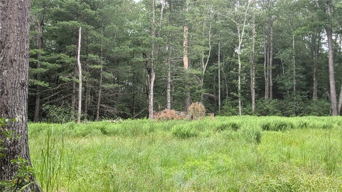 Property Photo:  Crystal Lake Road  NY 12764 