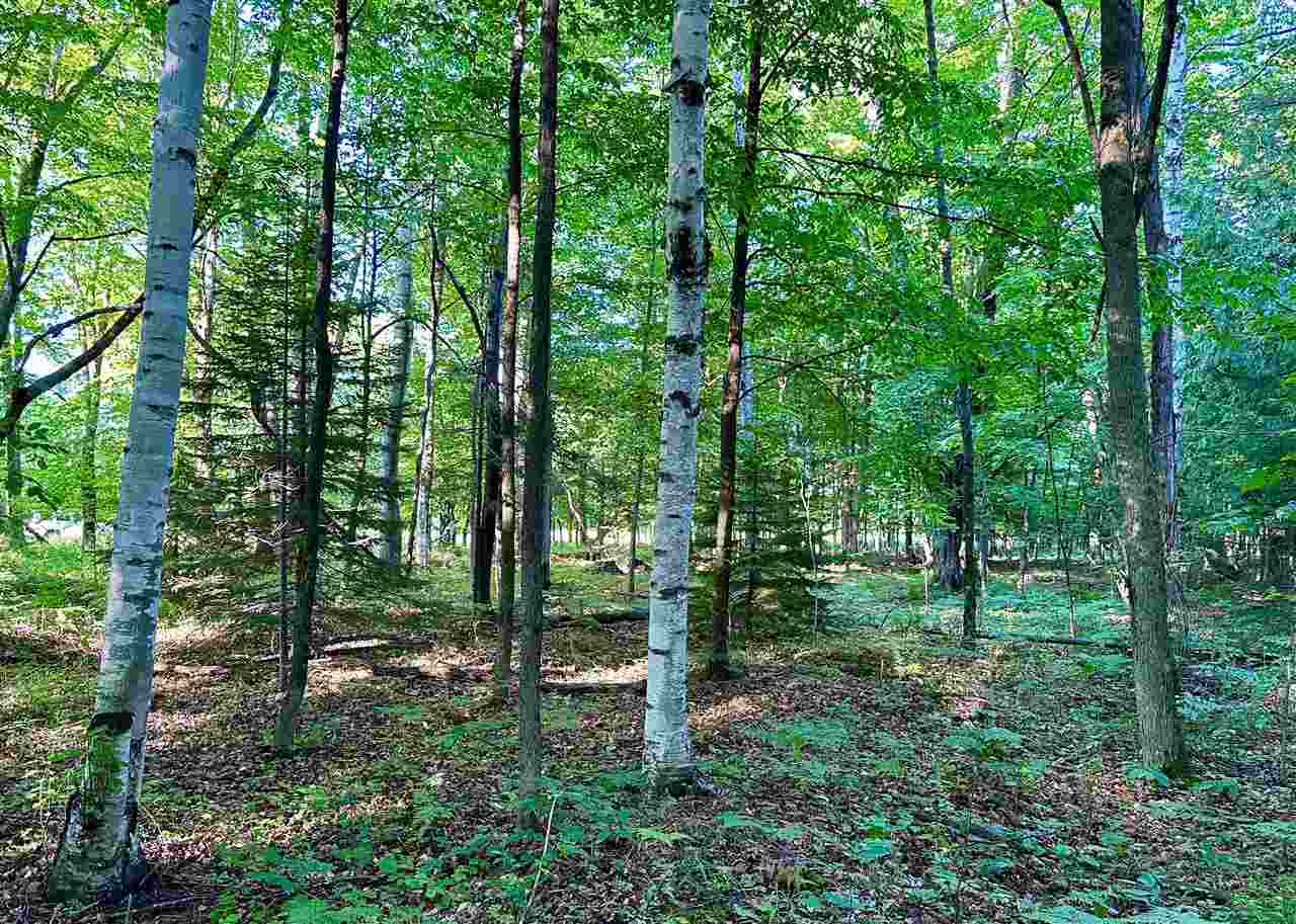 Property Photo:  Stonebridge Dr Lot 30  MI 49720 