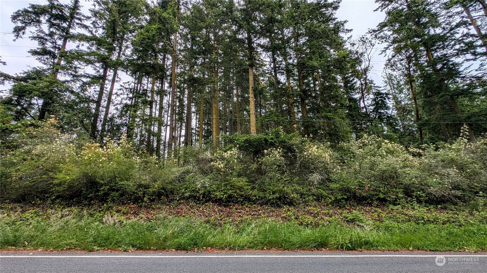 Property Photo: 0 Flagler Rd WA 98358