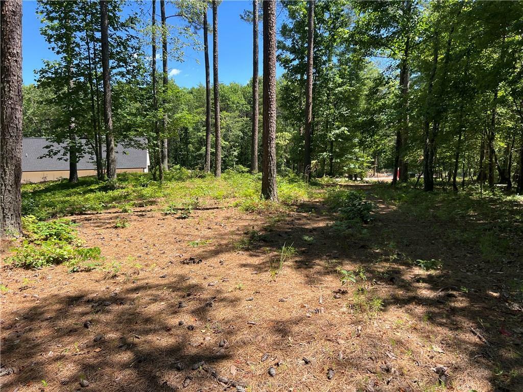 Property Photo:  Lot 2 River Highlands Road  GA 30533 