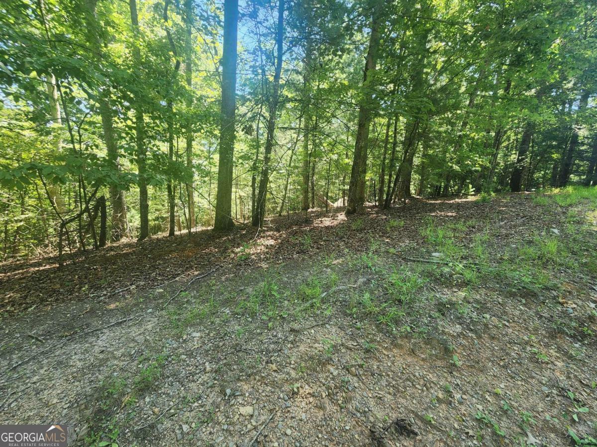 Lot 3 Meadow View Drive 3  Morganton GA 30560 photo