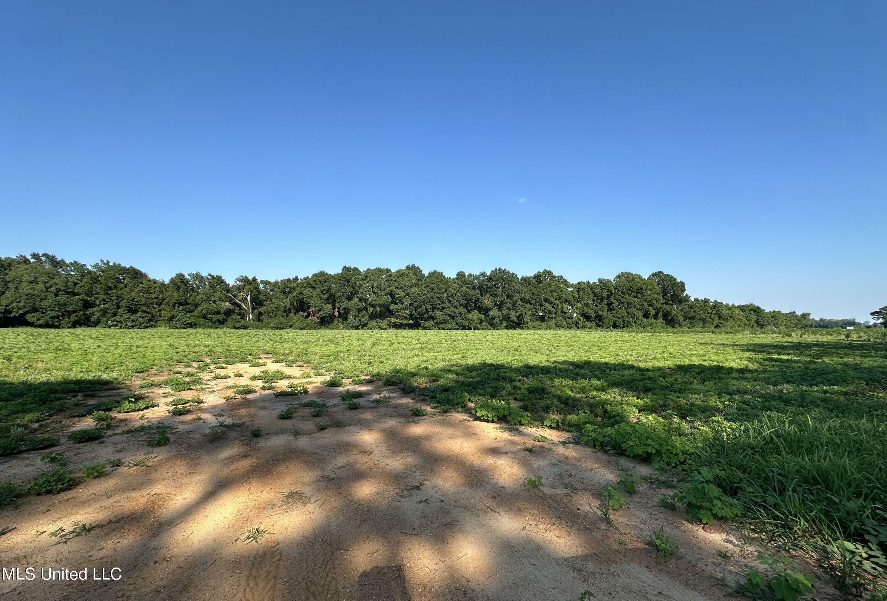 Lot 2 Marshall Smith Road  Lucedale MS 39452 photo