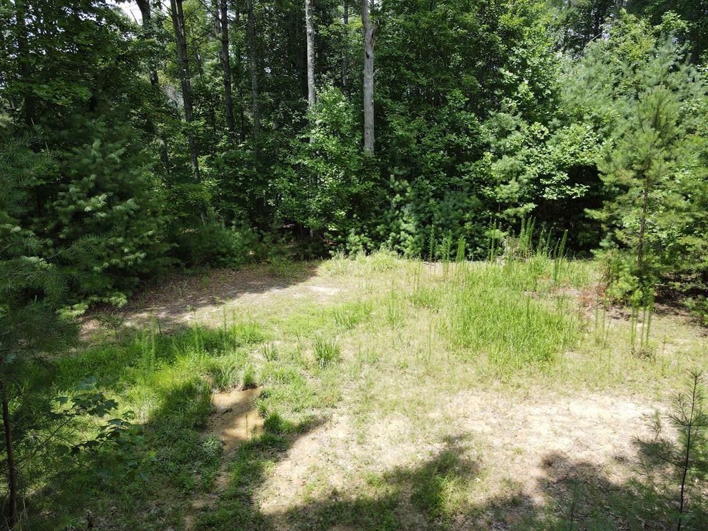 Lot 4 Scouts Overlook Lane  Morganton GA 30560 photo