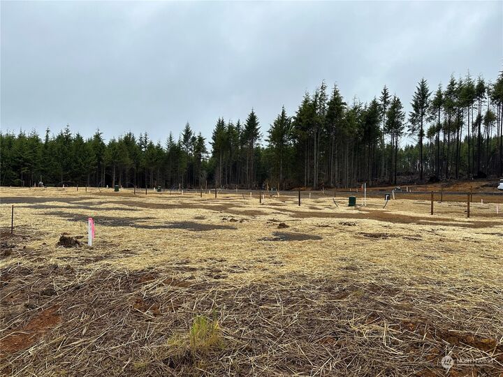 98 Bungalow Loop  Pacific Beach WA 98571 photo