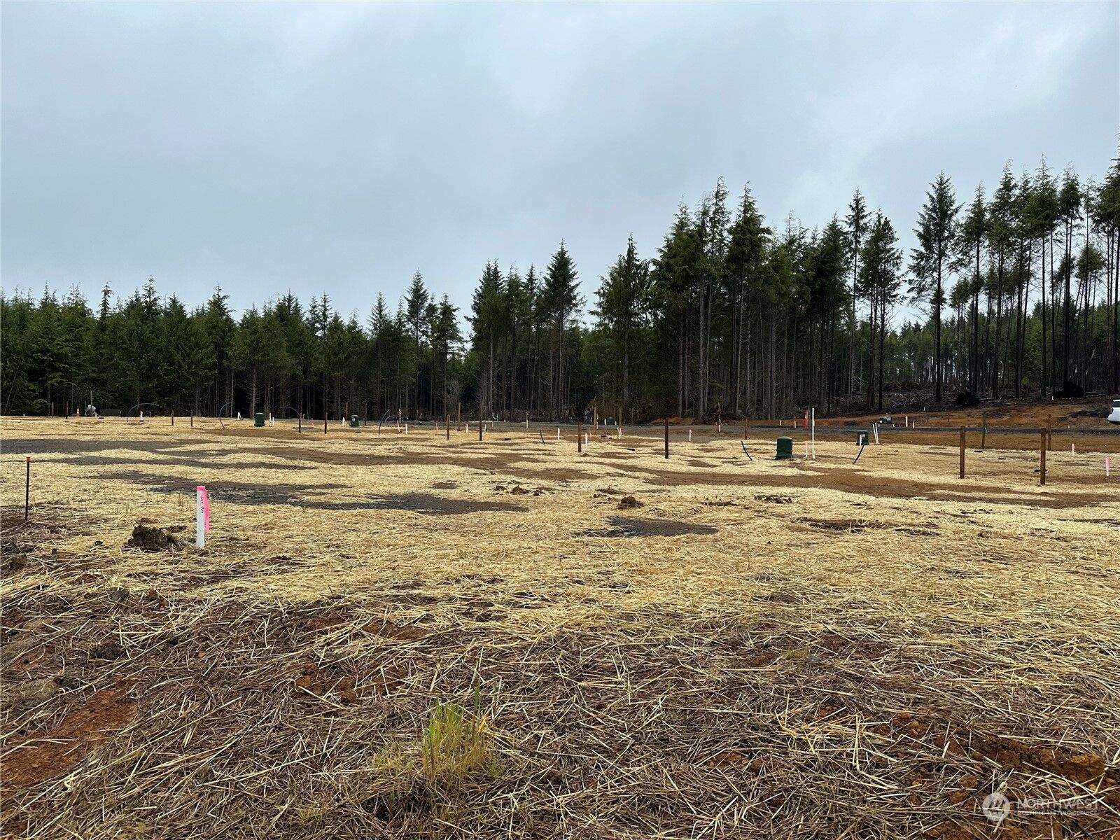 Property Photo:  98 Bungalow Loop  WA 98571 