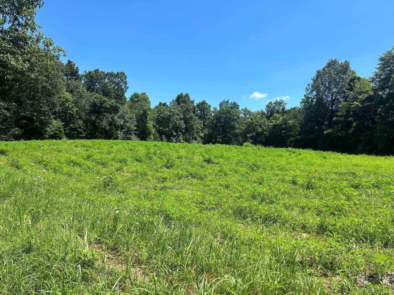 Property Photo:  Tract 2 Brownsville Road  KY 42261 