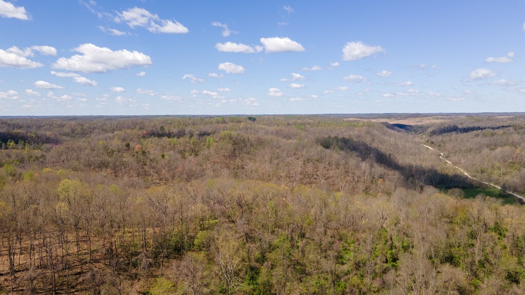 Property Photo:  0 Rocky Fork Road  OH 45623 