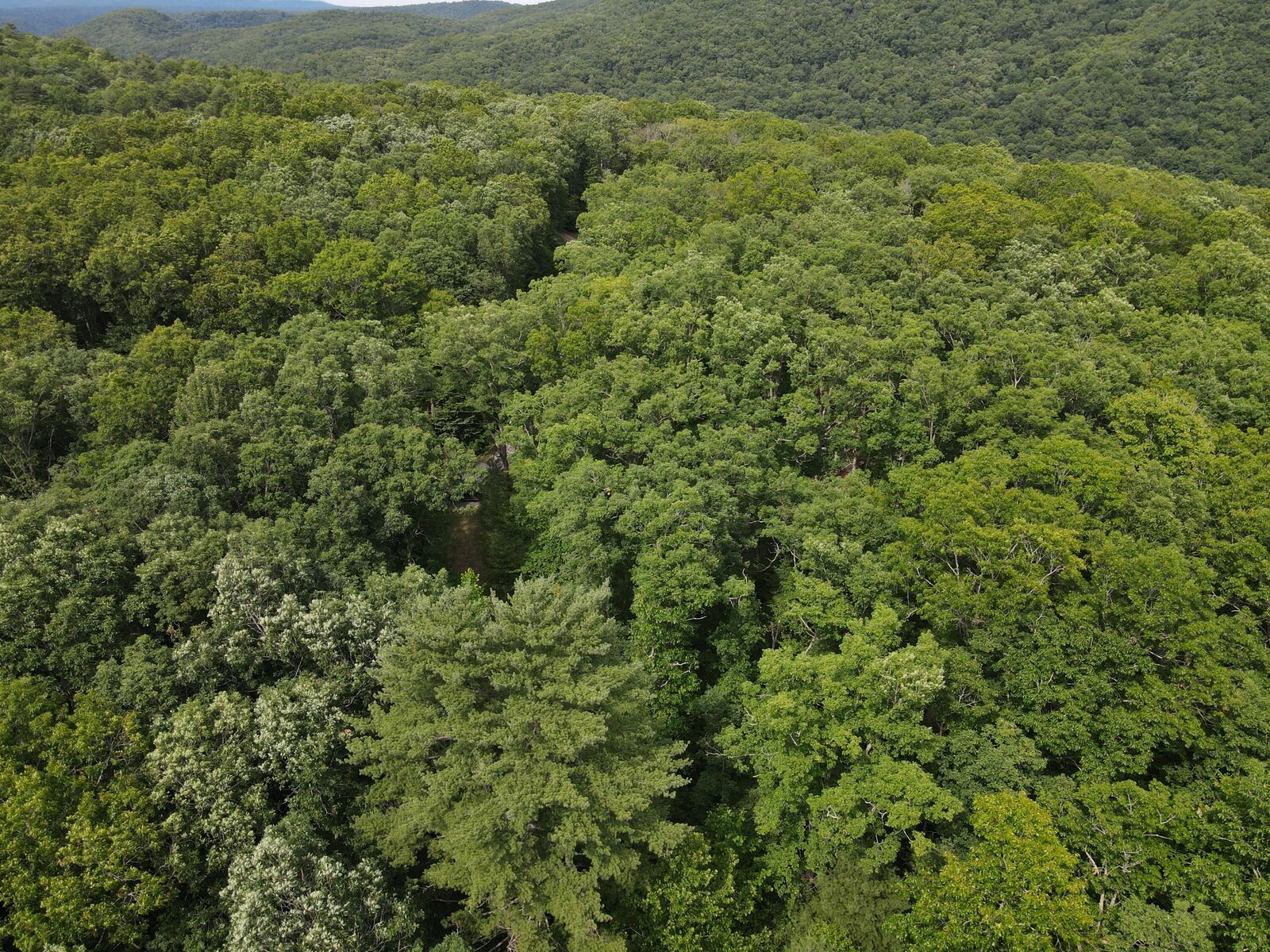 Property Photo:  92 River Rdg Ln   24924 