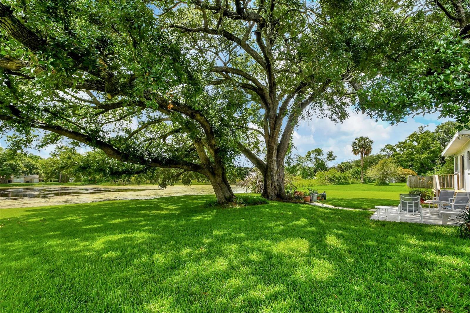 Property Photo: 10 Hibiscus Drive FL 32713