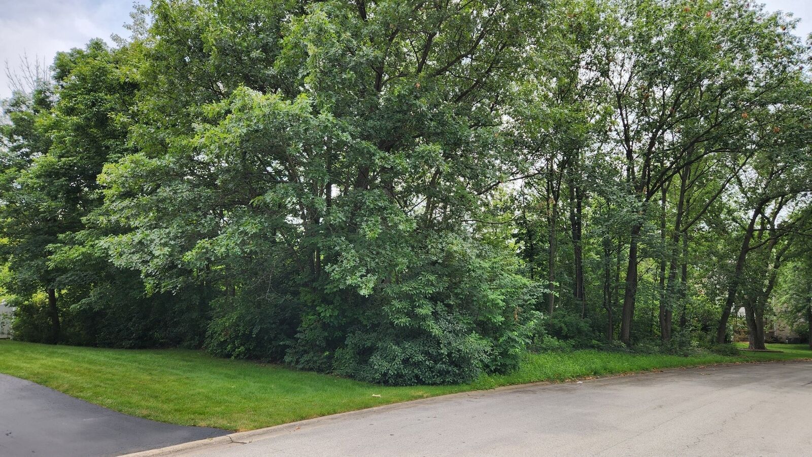 Property Photo:  3923 Montgomery Drive  IL 60417 