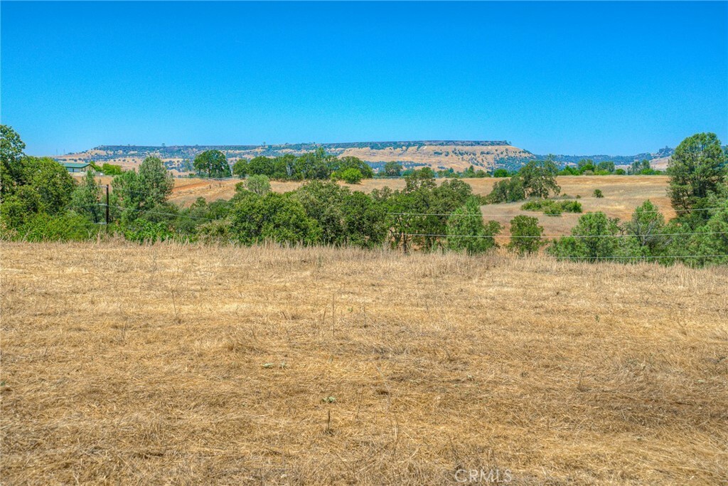 Property Photo:  0 Olive Hwy  CA 95966 